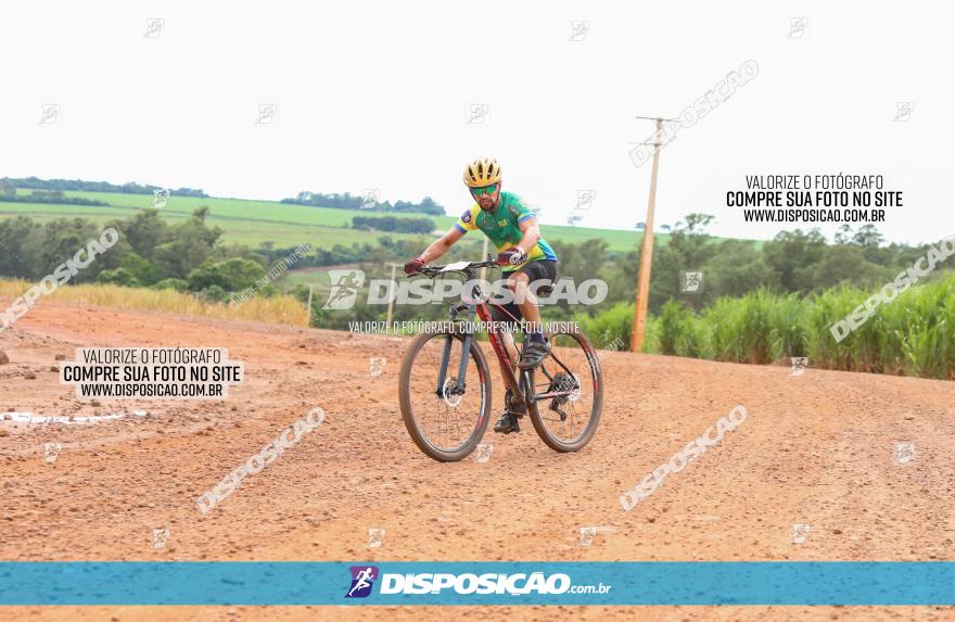 1ª EDIÇÃO DESAFIO ABELHA GRANDE - XCM