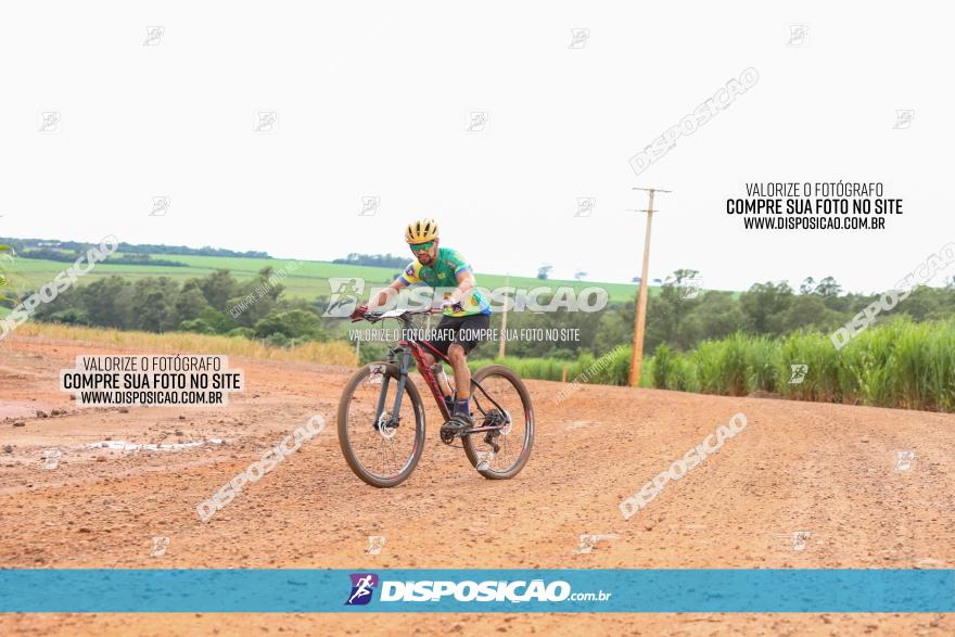 1ª EDIÇÃO DESAFIO ABELHA GRANDE - XCM