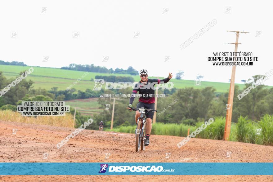 1ª EDIÇÃO DESAFIO ABELHA GRANDE - XCM