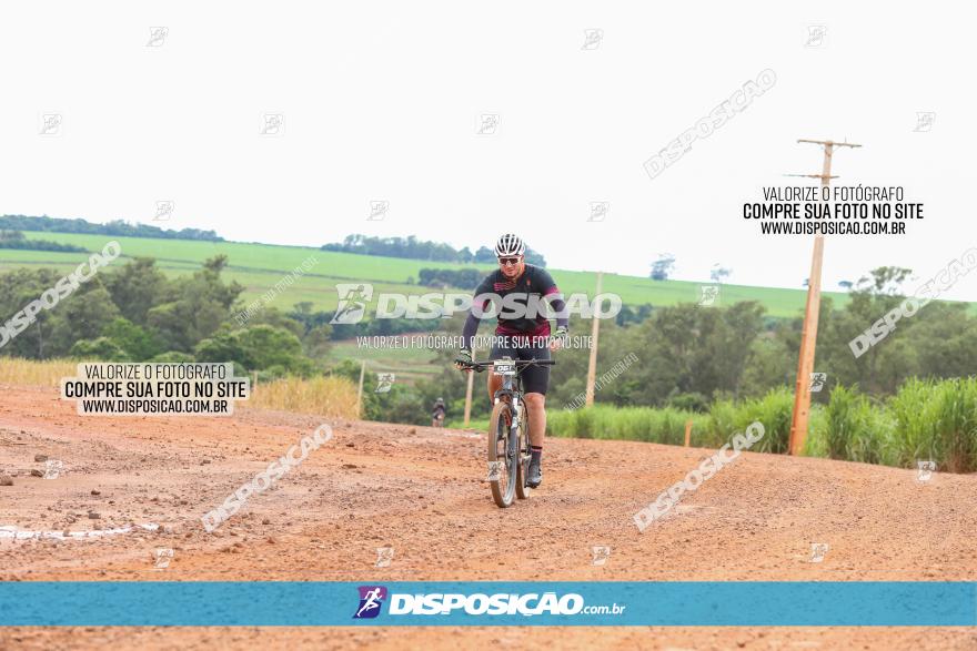 1ª EDIÇÃO DESAFIO ABELHA GRANDE - XCM