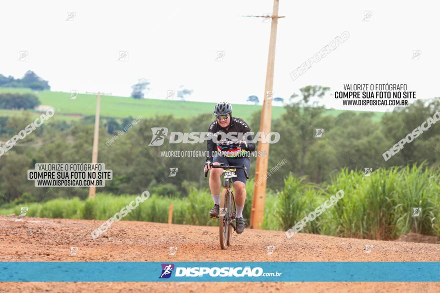 1ª EDIÇÃO DESAFIO ABELHA GRANDE - XCM