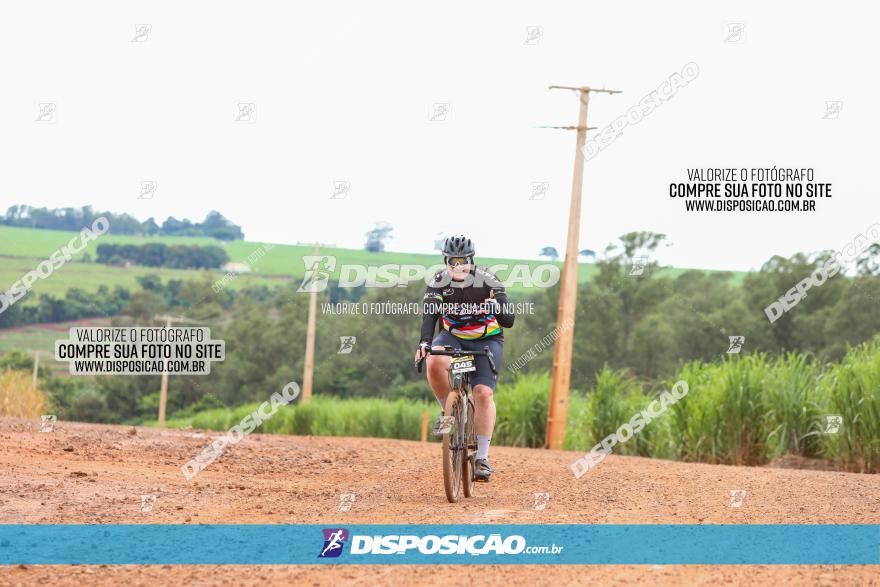 1ª EDIÇÃO DESAFIO ABELHA GRANDE - XCM