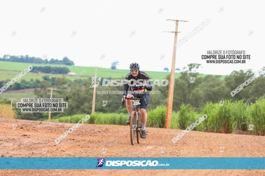 1ª EDIÇÃO DESAFIO ABELHA GRANDE - XCM