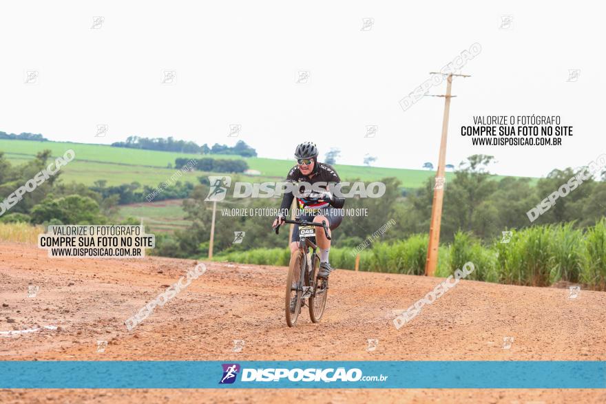 1ª EDIÇÃO DESAFIO ABELHA GRANDE - XCM