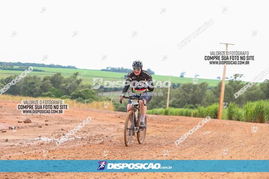 1ª EDIÇÃO DESAFIO ABELHA GRANDE - XCM