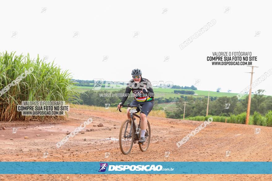 1ª EDIÇÃO DESAFIO ABELHA GRANDE - XCM