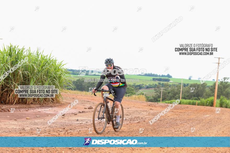 1ª EDIÇÃO DESAFIO ABELHA GRANDE - XCM