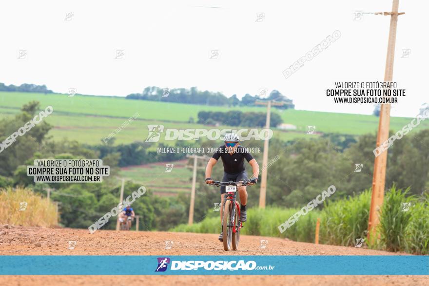 1ª EDIÇÃO DESAFIO ABELHA GRANDE - XCM