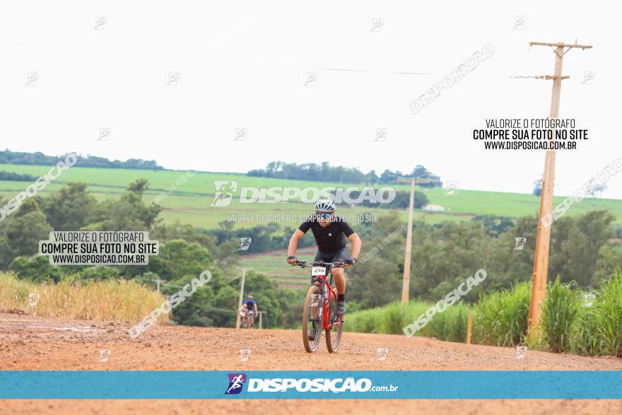 1ª EDIÇÃO DESAFIO ABELHA GRANDE - XCM