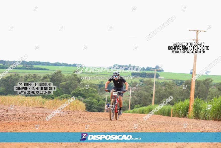 1ª EDIÇÃO DESAFIO ABELHA GRANDE - XCM