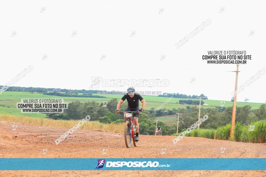 1ª EDIÇÃO DESAFIO ABELHA GRANDE - XCM