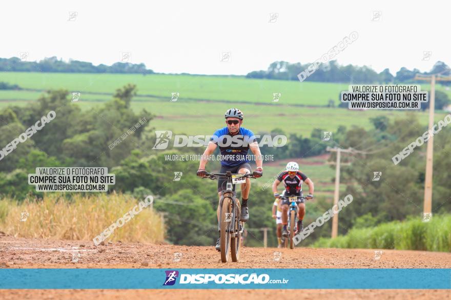 1ª EDIÇÃO DESAFIO ABELHA GRANDE - XCM