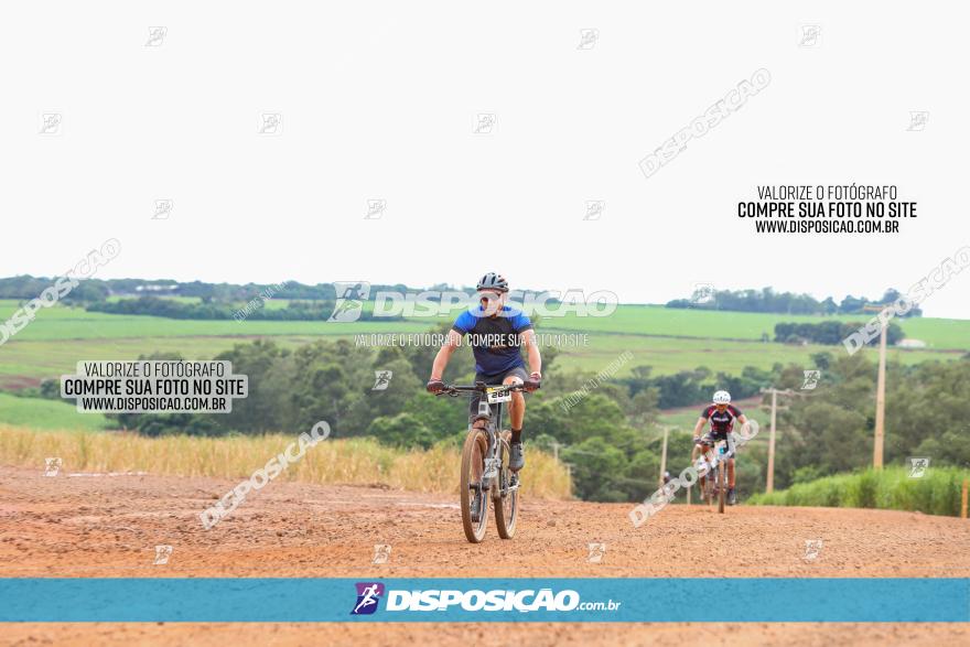 1ª EDIÇÃO DESAFIO ABELHA GRANDE - XCM