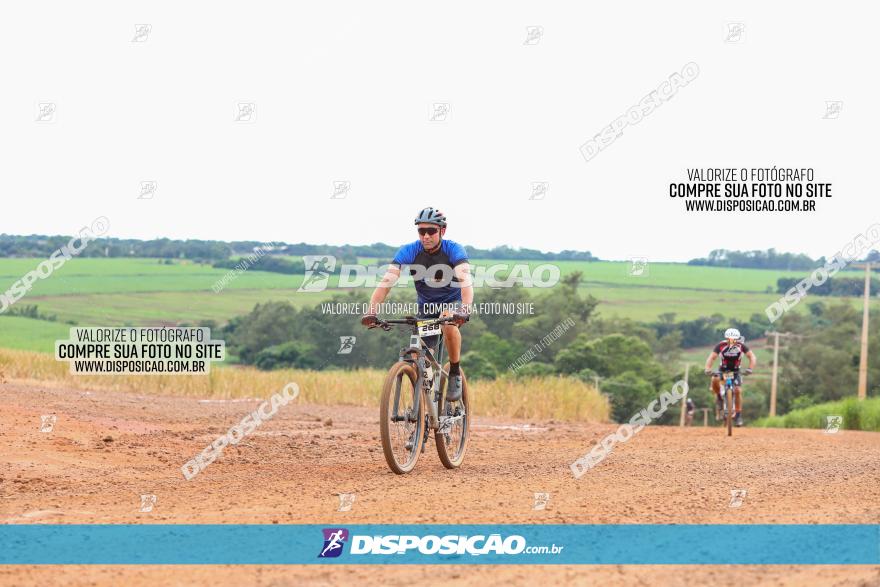 1ª EDIÇÃO DESAFIO ABELHA GRANDE - XCM