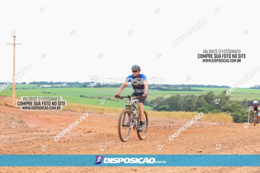 1ª EDIÇÃO DESAFIO ABELHA GRANDE - XCM