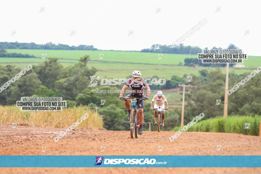 1ª EDIÇÃO DESAFIO ABELHA GRANDE - XCM