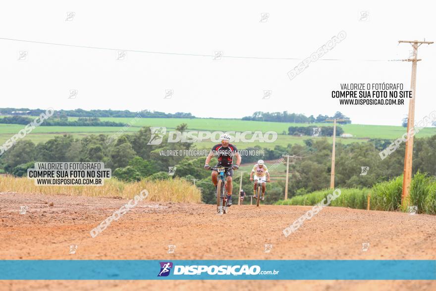 1ª EDIÇÃO DESAFIO ABELHA GRANDE - XCM