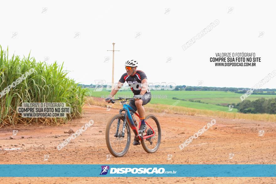 1ª EDIÇÃO DESAFIO ABELHA GRANDE - XCM