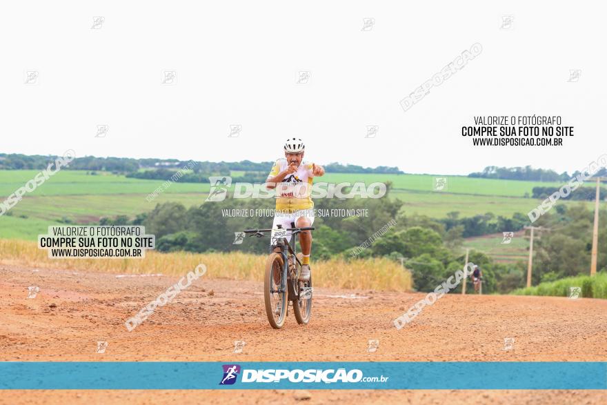 1ª EDIÇÃO DESAFIO ABELHA GRANDE - XCM