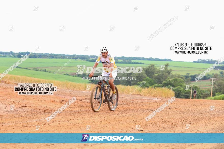 1ª EDIÇÃO DESAFIO ABELHA GRANDE - XCM