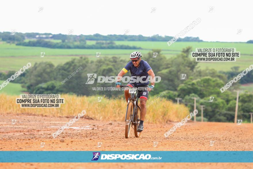 1ª EDIÇÃO DESAFIO ABELHA GRANDE - XCM