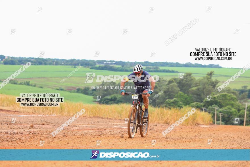 1ª EDIÇÃO DESAFIO ABELHA GRANDE - XCM