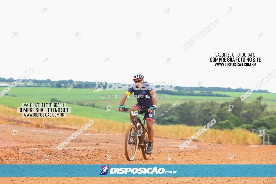 1ª EDIÇÃO DESAFIO ABELHA GRANDE - XCM