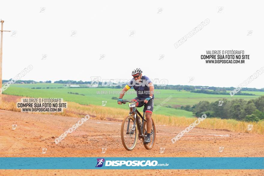 1ª EDIÇÃO DESAFIO ABELHA GRANDE - XCM