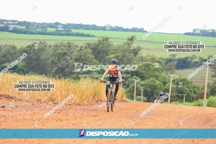 1ª EDIÇÃO DESAFIO ABELHA GRANDE - XCM