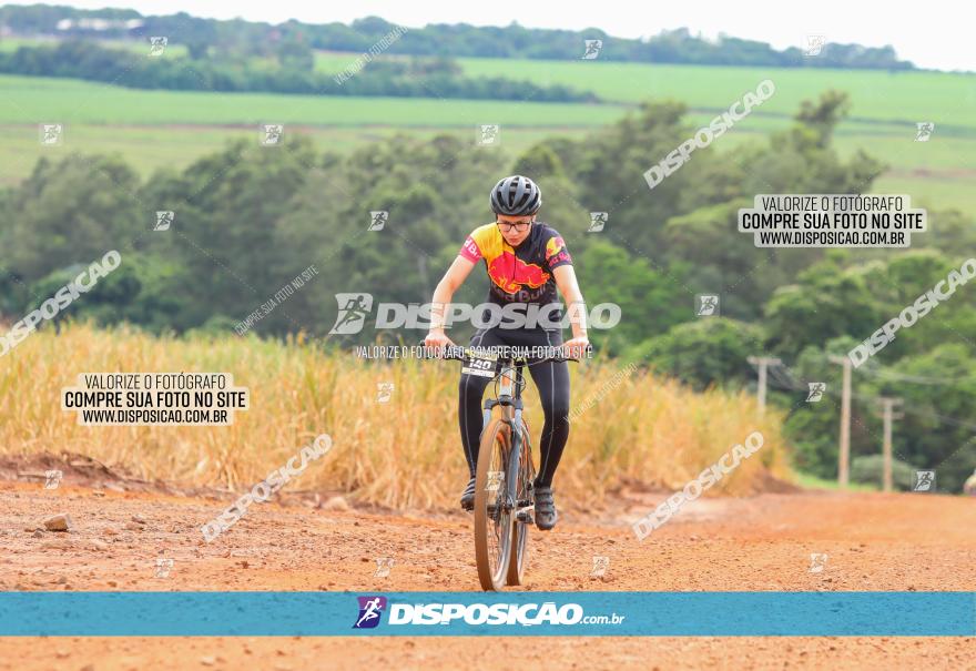 1ª EDIÇÃO DESAFIO ABELHA GRANDE - XCM