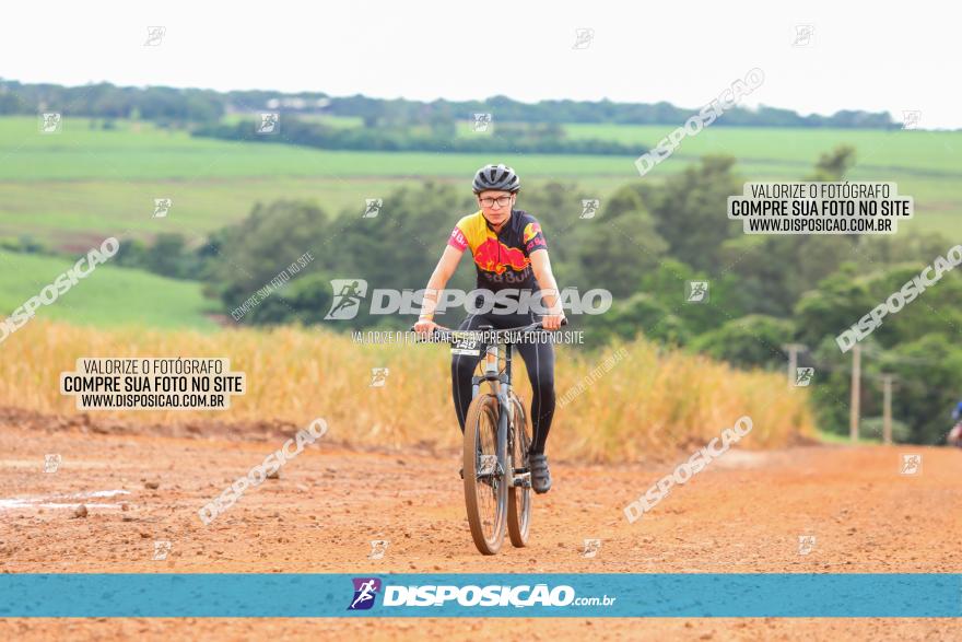 1ª EDIÇÃO DESAFIO ABELHA GRANDE - XCM