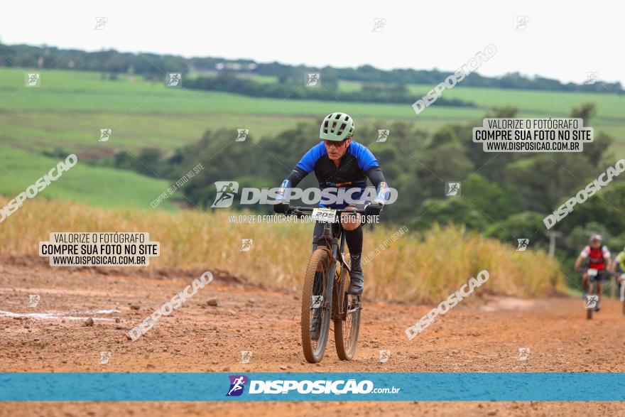 1ª EDIÇÃO DESAFIO ABELHA GRANDE - XCM