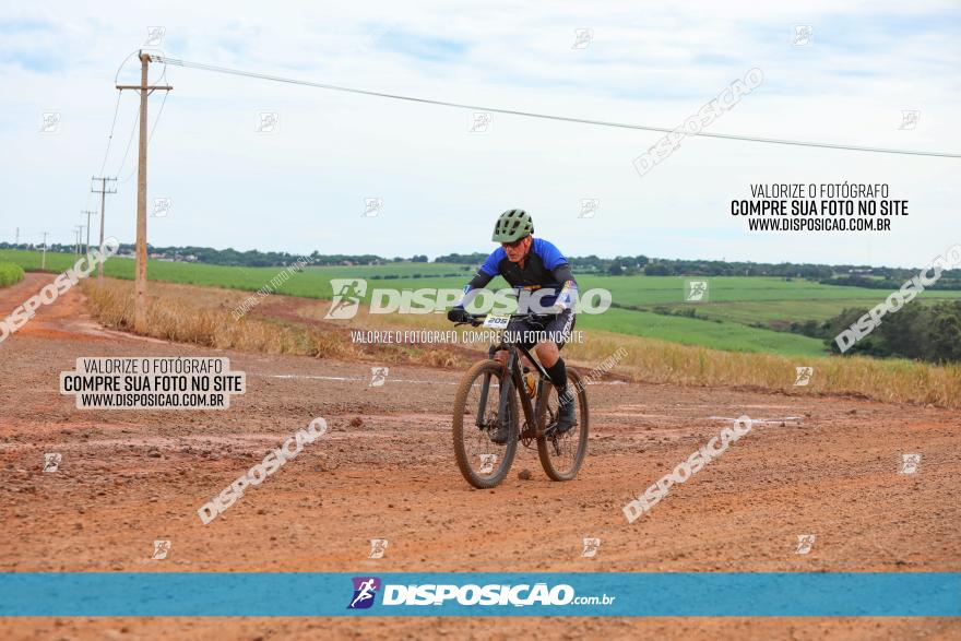 1ª EDIÇÃO DESAFIO ABELHA GRANDE - XCM