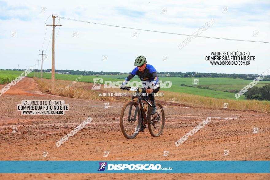 1ª EDIÇÃO DESAFIO ABELHA GRANDE - XCM