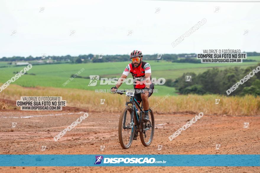 1ª EDIÇÃO DESAFIO ABELHA GRANDE - XCM