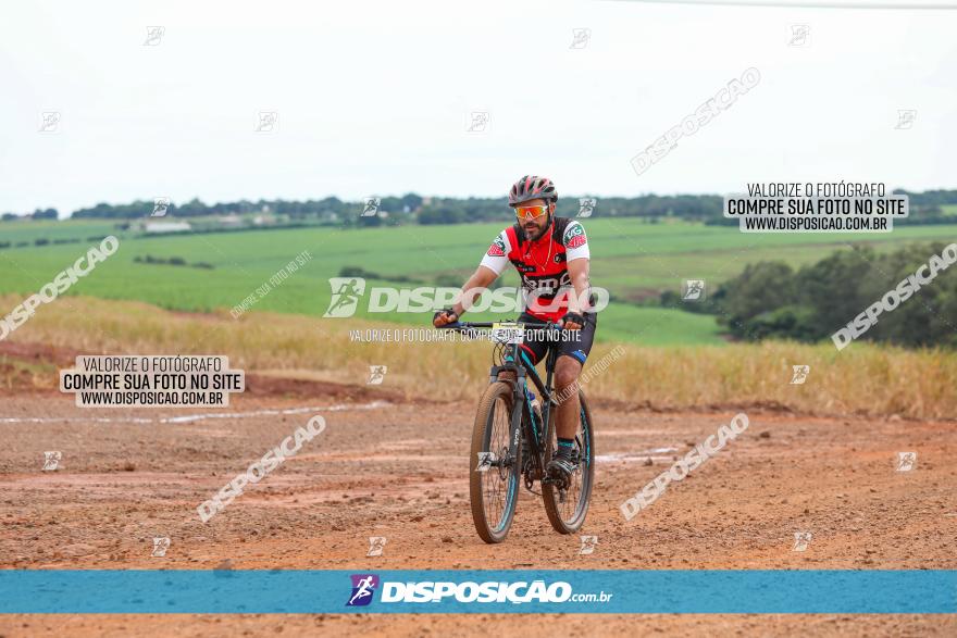 1ª EDIÇÃO DESAFIO ABELHA GRANDE - XCM