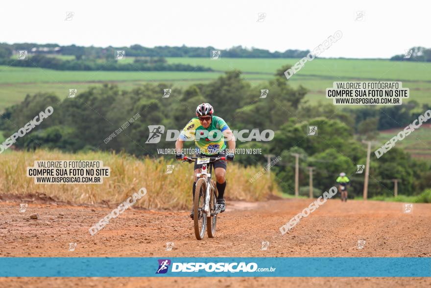 1ª EDIÇÃO DESAFIO ABELHA GRANDE - XCM