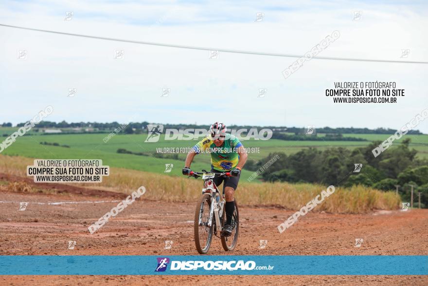 1ª EDIÇÃO DESAFIO ABELHA GRANDE - XCM