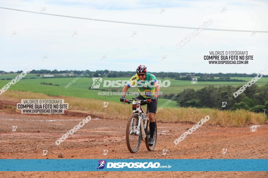 1ª EDIÇÃO DESAFIO ABELHA GRANDE - XCM