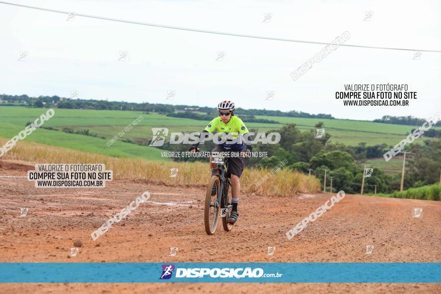 1ª EDIÇÃO DESAFIO ABELHA GRANDE - XCM