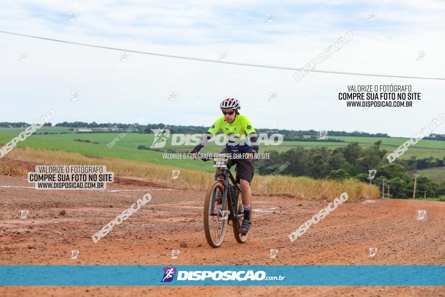 1ª EDIÇÃO DESAFIO ABELHA GRANDE - XCM