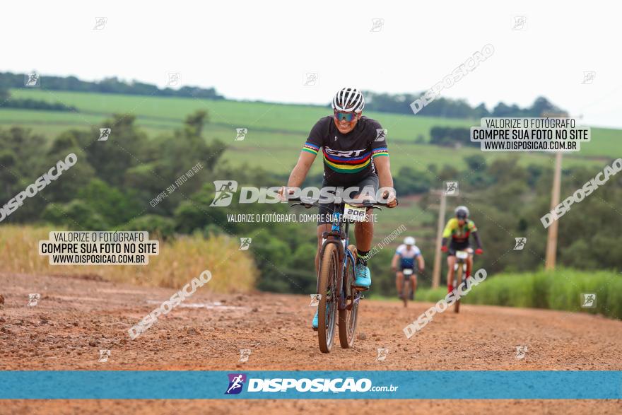 1ª EDIÇÃO DESAFIO ABELHA GRANDE - XCM