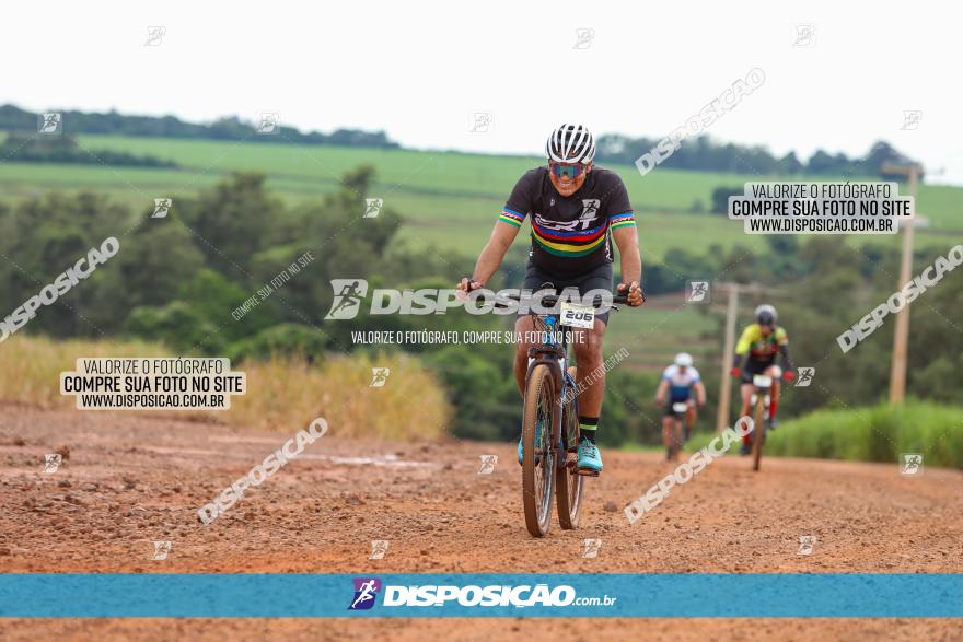 1ª EDIÇÃO DESAFIO ABELHA GRANDE - XCM