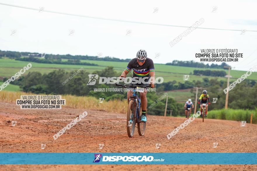 1ª EDIÇÃO DESAFIO ABELHA GRANDE - XCM