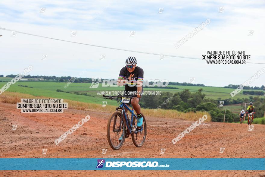 1ª EDIÇÃO DESAFIO ABELHA GRANDE - XCM