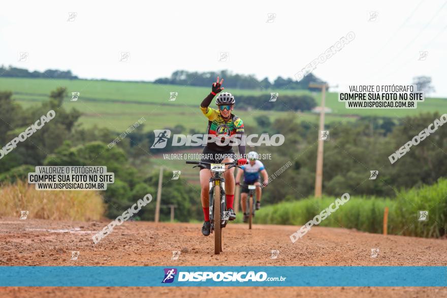 1ª EDIÇÃO DESAFIO ABELHA GRANDE - XCM