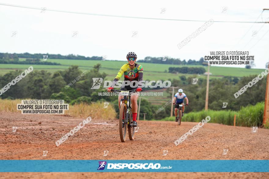 1ª EDIÇÃO DESAFIO ABELHA GRANDE - XCM