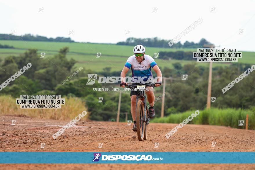 1ª EDIÇÃO DESAFIO ABELHA GRANDE - XCM