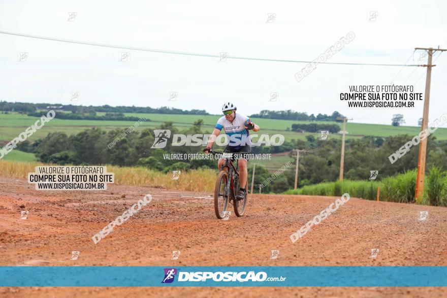 1ª EDIÇÃO DESAFIO ABELHA GRANDE - XCM