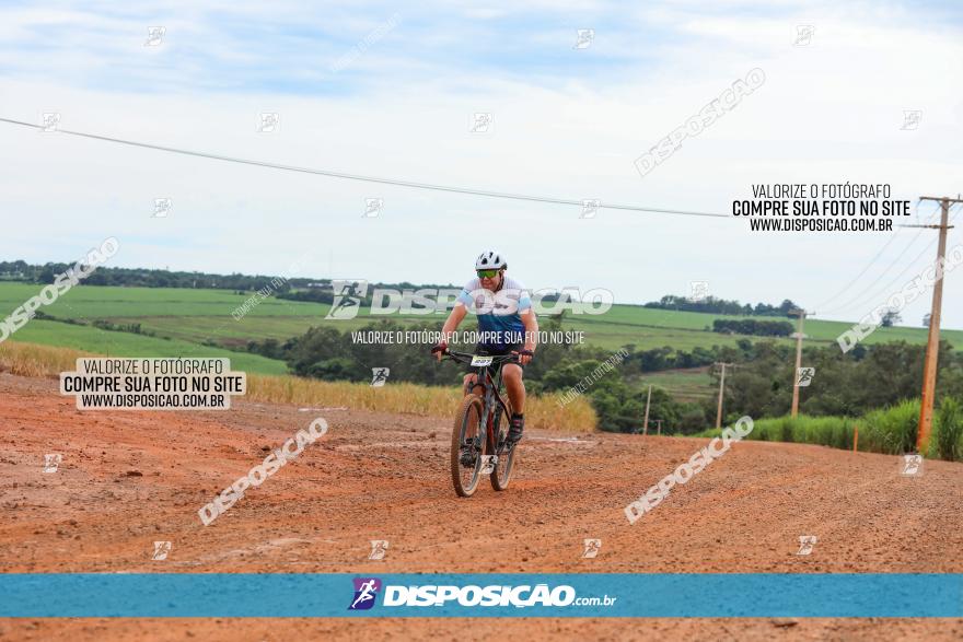 1ª EDIÇÃO DESAFIO ABELHA GRANDE - XCM